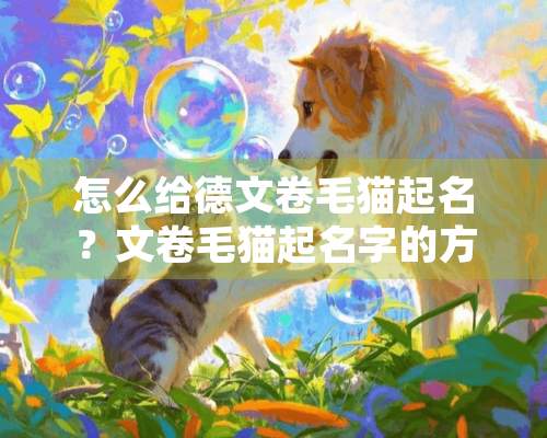 怎么给德文卷毛猫起名？文卷毛猫起名字的方法及历史渊源