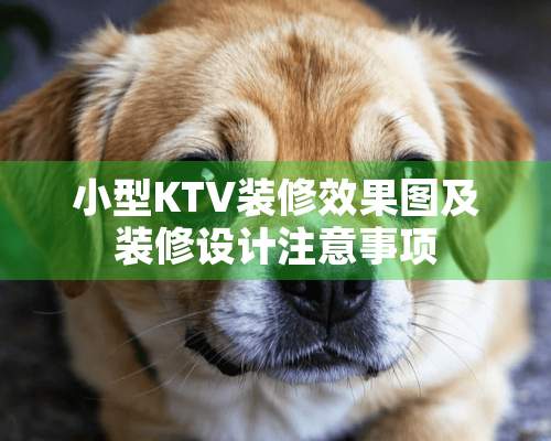 小型KTV装修效果图及装修设计注意事项