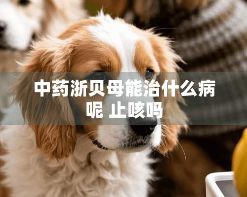 中药浙贝母能治什么病呢 止咳吗