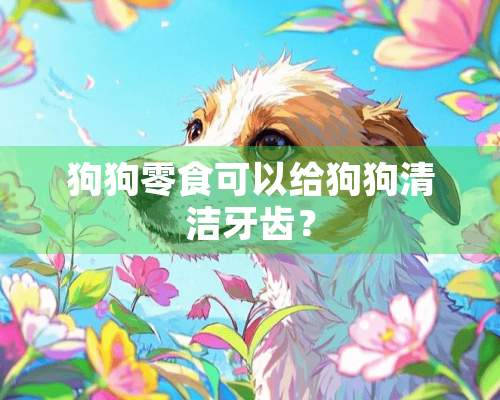 狗狗零食可以给狗狗清洁牙齿？