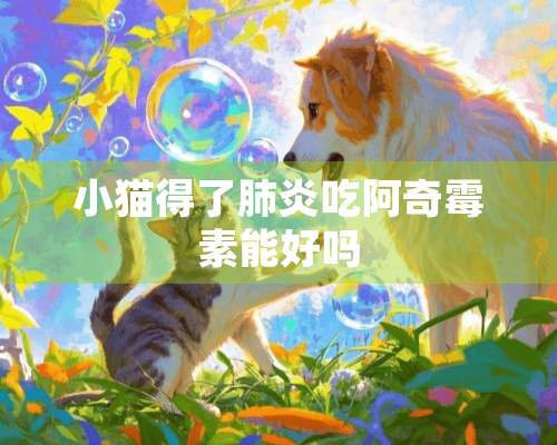 小猫得了肺炎吃阿奇霉素能好吗