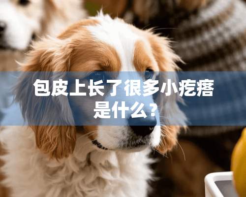 包皮上长了很多小疙瘩 是什么？