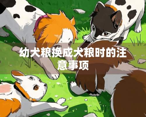 幼犬粮换成犬粮时的注意事项