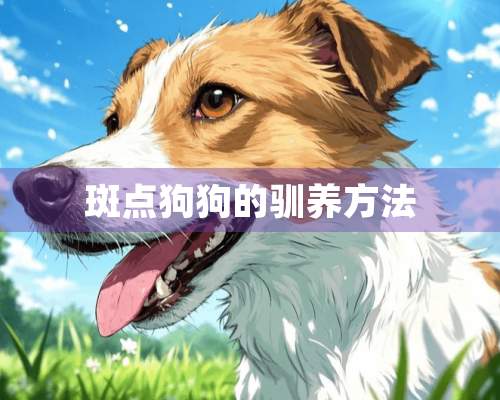 斑点狗狗的驯养方法