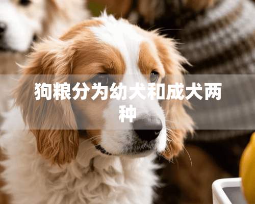 狗粮分为幼犬和成犬两种