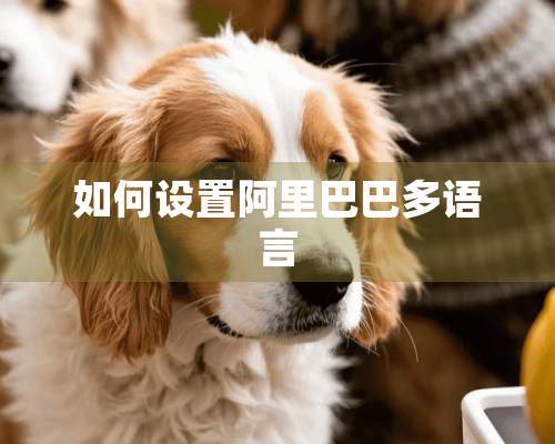 如何设置阿里巴巴多语言