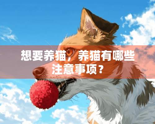 想要养猫，养猫有哪些注意事项？