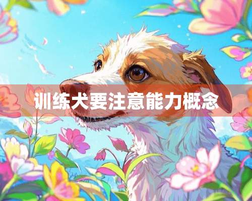 训练犬要注意能力概念