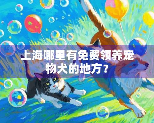 上海哪里有免费领养宠物犬的地方？