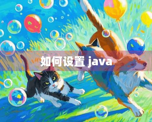 如何设置 java