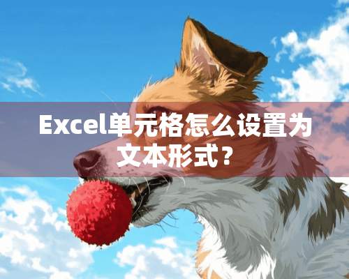 Excel单元格怎么设置为文本形式？