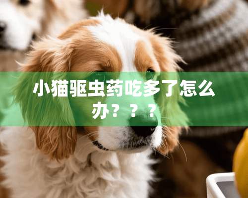 小猫驱虫药吃多了怎么办？？？