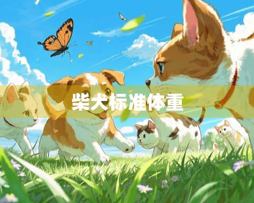 柴犬标准体重