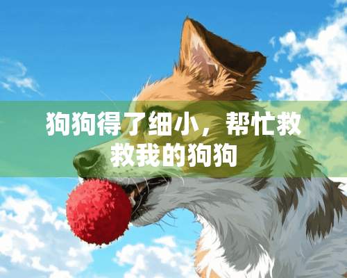 狗狗得了细小，帮忙救救我的狗狗