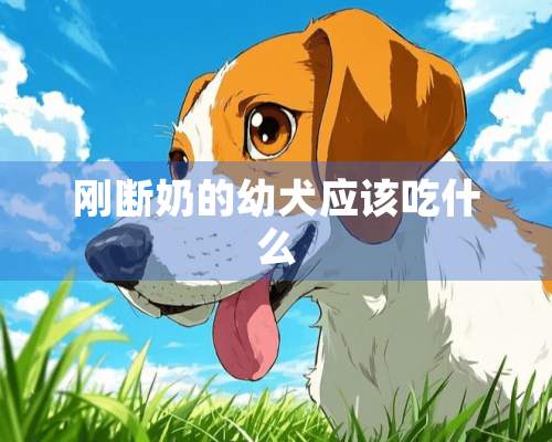 刚断奶的幼犬应该吃什么