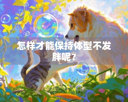 怎样才能保持体型不发胖呢？