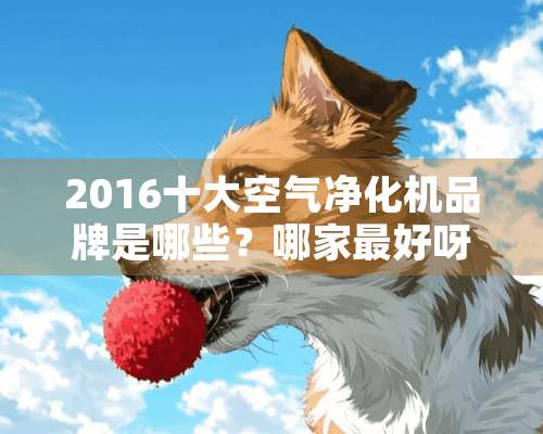 2016十大空气净化机品牌是哪些？哪家最好呀