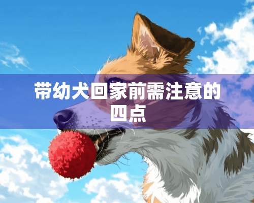 带幼犬回家前需注意的四点