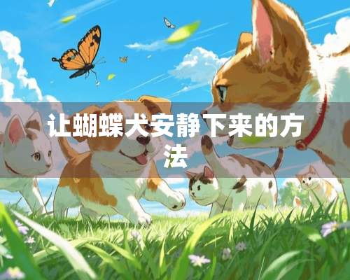 让蝴蝶犬安静下来的方法