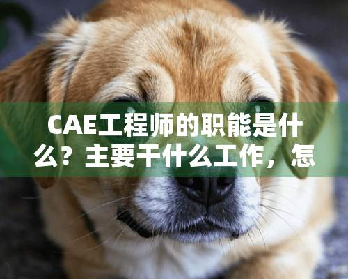 CAE工程师的职能是什么？主要干什么工作，怎么才能成为CAE工程师？谢谢