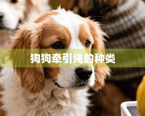 狗狗牵引绳的种类