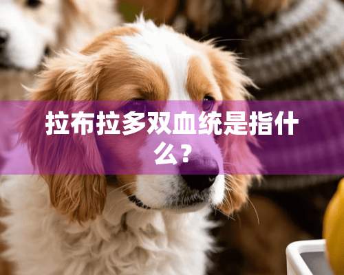 拉布拉多双血统是指什么？