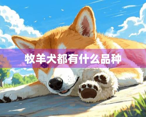 牧羊犬都有什么品种