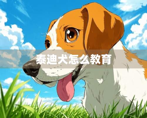 泰迪犬怎么教育