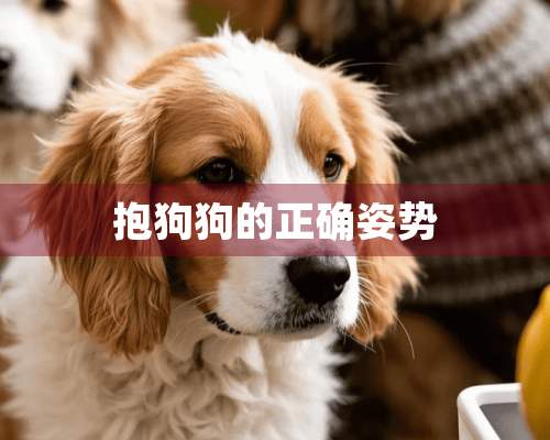 抱狗狗的正确姿势