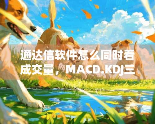 通达信软件怎么同时看成交量，MACD.KDJ三个指标？