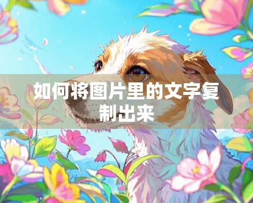 如何将图片里的文字复制出来