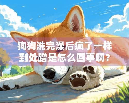 狗狗洗完澡后疯了一样到处蹭是怎么回事啊？