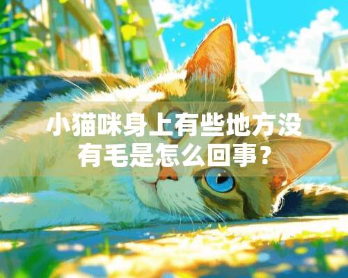 小猫咪身上有些地方没有毛是怎么回事？