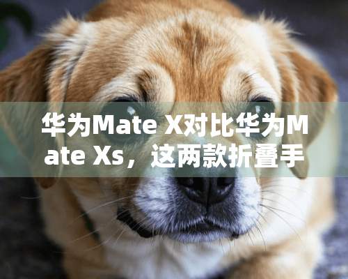 华为Mate X对比华为Mate Xs，这两款折叠手机有何不同？