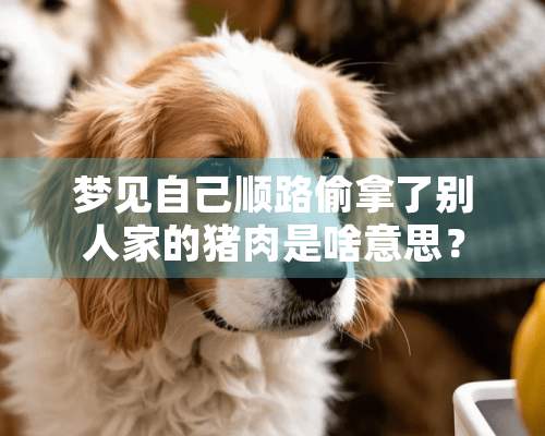 梦见自己顺路偷拿了别人家的猪肉是啥意思？