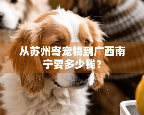 从苏州寄宠物到广西南宁要多少钱？