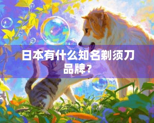 日本有什么知名剃须刀品牌？