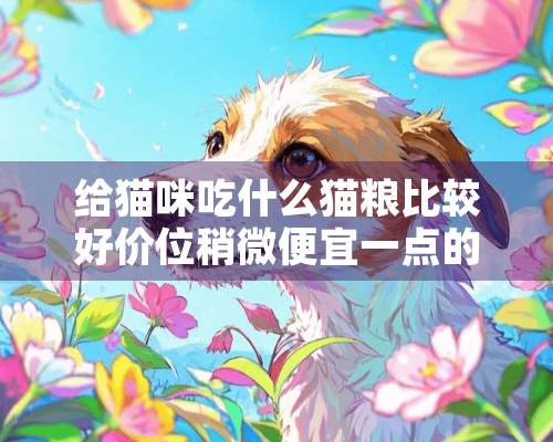 给猫咪吃什么猫粮比较好价位稍微便宜一点的？