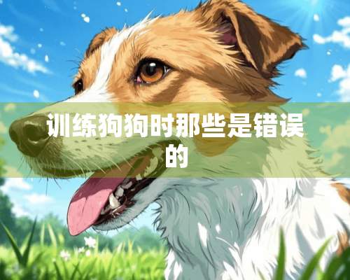 训练狗狗时那些是错误的