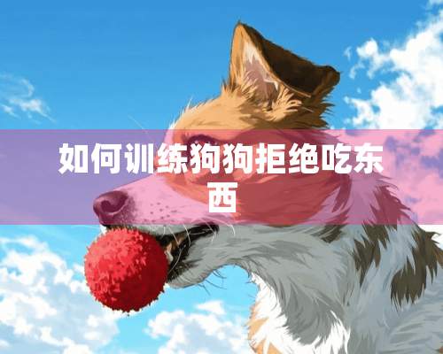 如何训练狗狗拒绝吃东西