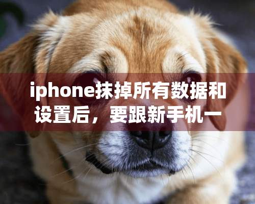 iphone抹掉所有数据和设置后，要跟新手机一样重新激活吗？