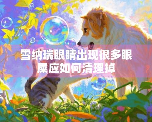 雪纳瑞眼睛出现很多眼屎应如何清理掉