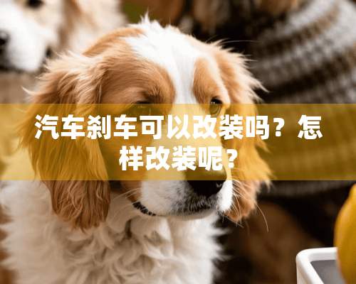 汽车刹车可以改装吗？怎样改装呢？