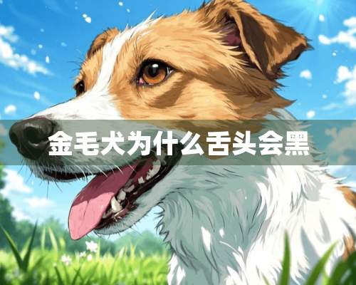 金毛犬为什么舌头会黑