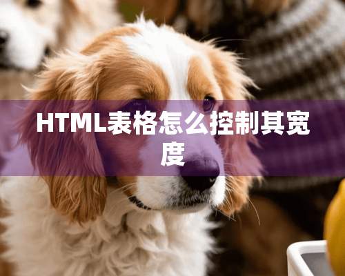 HTML表格怎么控制其宽度