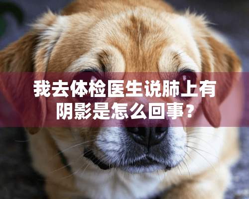 我去体检医生说肺上有*影是怎么回事？