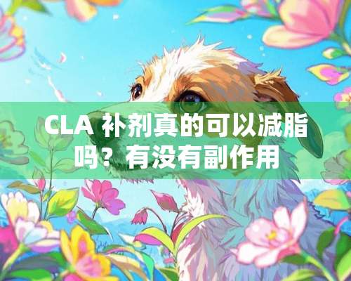 CLA 补剂真的可以减脂吗？有没有副作用