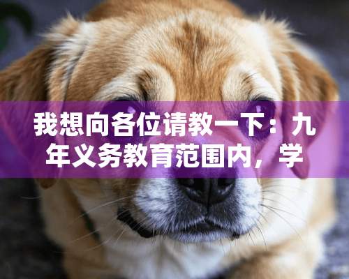 我想向各位请教一下：九年义务教育范围内，学校或老师有权利向学生兜售或强制让其买书吗？