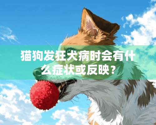 猫狗发狂犬病时会有什么症状或反映？