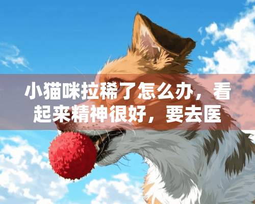 小猫咪拉稀了怎么办，看起来精神很好，要去医院吗？